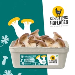 Packaging Designs für ein Produkt-Sortiment, Pilzkarton-Etikett