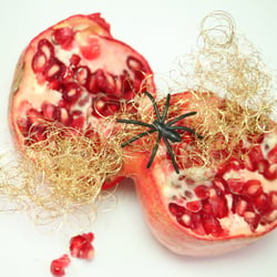 Granatapfel November 2012
