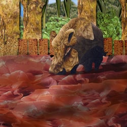 »Frühmorgens erwachte ich auf dem Gelände eines Tierparks…«