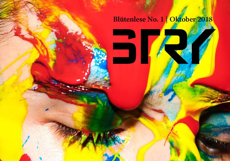 STRY Magazin Logo
