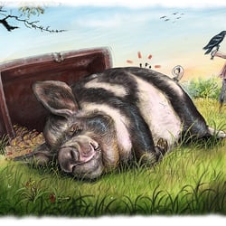 Brunobert Schwein 2