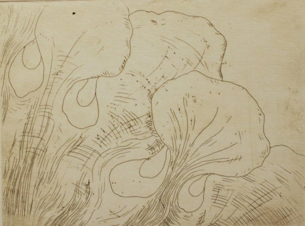 Amorph II, 2016, Strichätzung