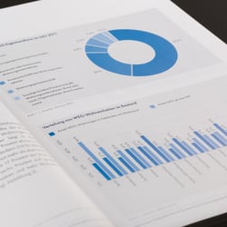 Buchgestaltung und Infografiken für den DDIV
