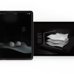 Ebook
