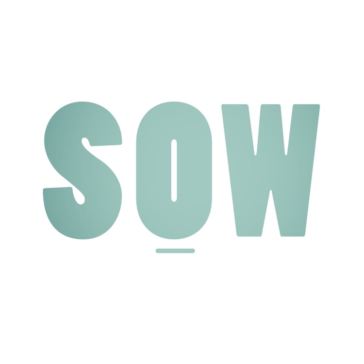Sabine Meyer-Sow