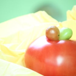Food Fotografie 2012