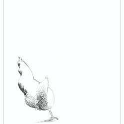 chicken run