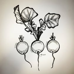 VerenaFaeth Radish Ink