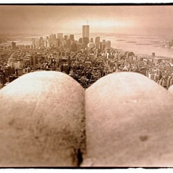 new york twin