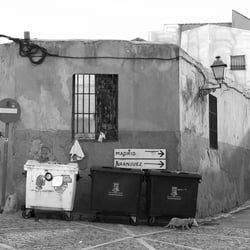 chinchon