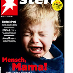 diverse Cover für den stern