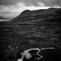 Westfjords, Island