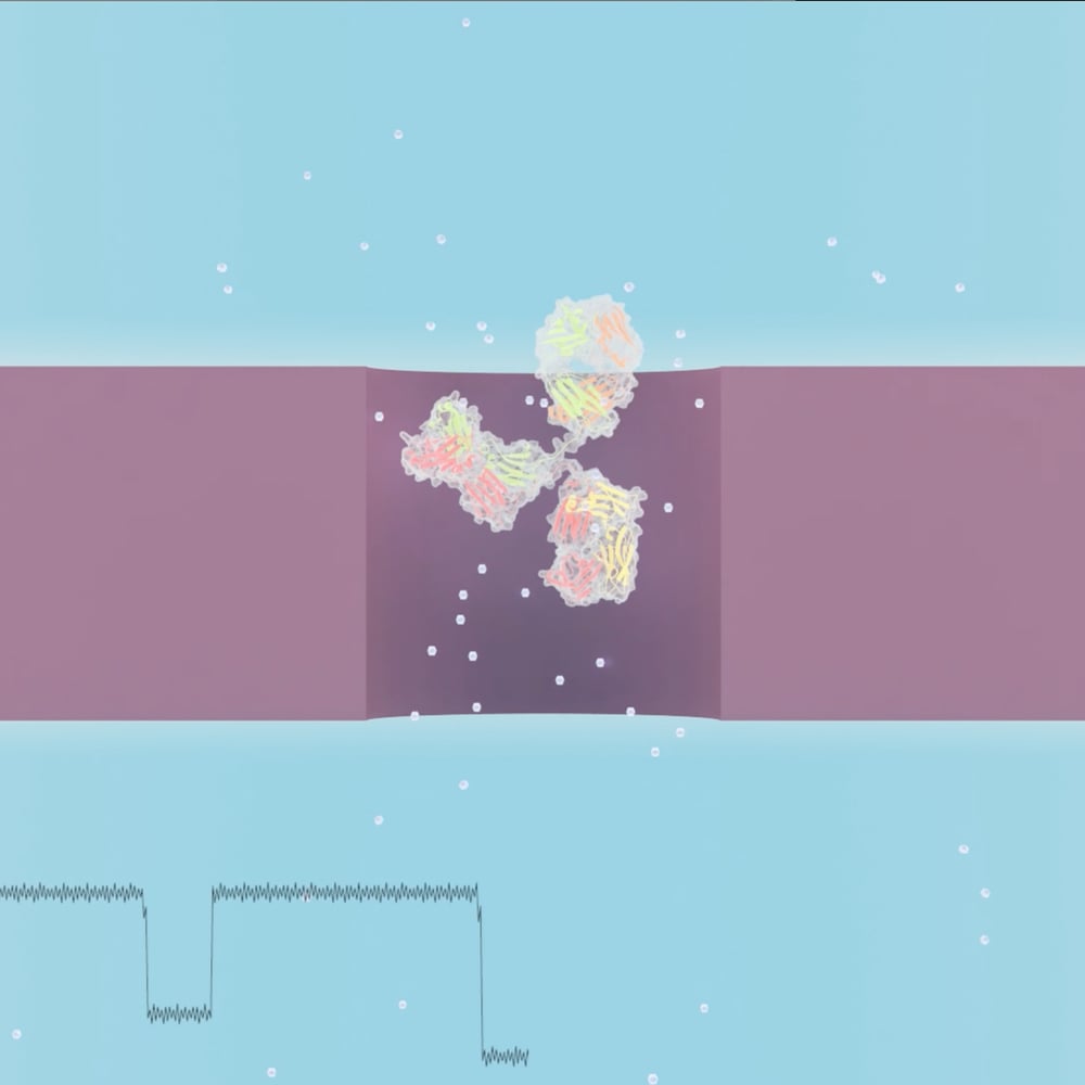 nanopore