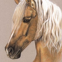 Berber – Pastell