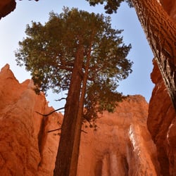 USA – Brice Canyon
