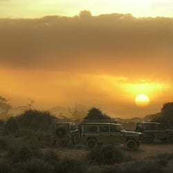 Sonnenuntergang Elefanten
