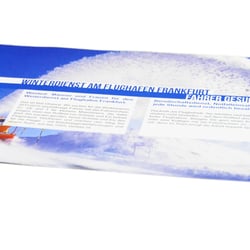 Flyer4