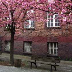 Fotografie/Photoshop