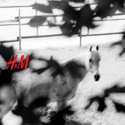 Fotokonzeption Hennes und Mauritz