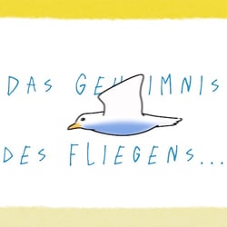 Geheimnis des Fliegens – Erklärvideo