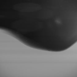 Something black and blobby…