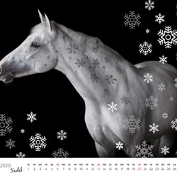 lichtpix-Kalender 2020 ED-13
