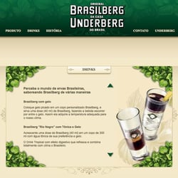 Design für die Brasilberg Brandsite