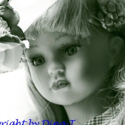 DOLLS – AUG. 2014