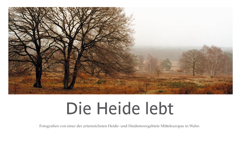 Die Heide lebt