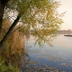 Wien, Alte Donau