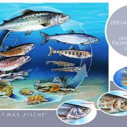 24. Fische