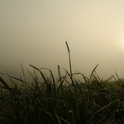 DSCN3585a