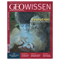 Cover-Illustration