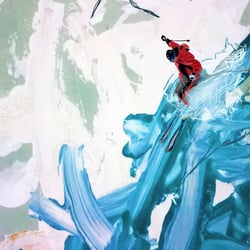 Skifahrer