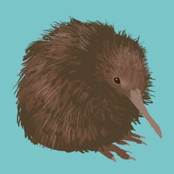 Kiwi