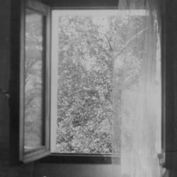 ANALOG I