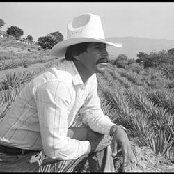 El Macho