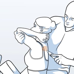 Spineliner Illustrationen
