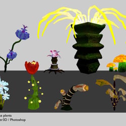 flowerconcepts