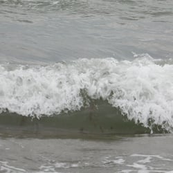 img 0299