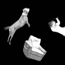 BITS AND PIECES. Raumchoreographie 2003