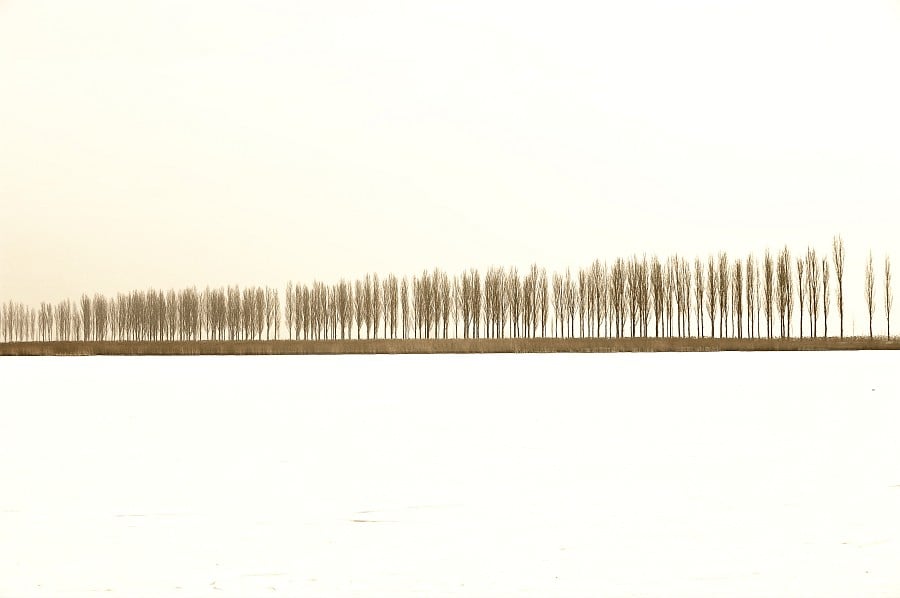 www.danneffel.de 2009 124