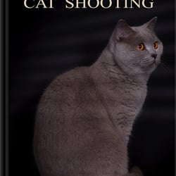 Horse Shooting
