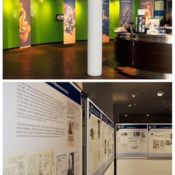 Ausstellung 100 Jahre Museum Starnberger See: Konzeption, Typografie, Illustration
