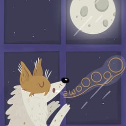 Awooooo