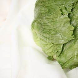 Eisbergsalat Nov. 2012
