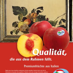 Konzept Kunst Anzeige2