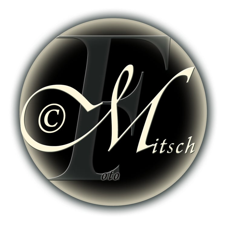 Edi Mitsch