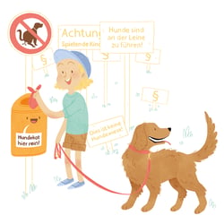 Illustration 3