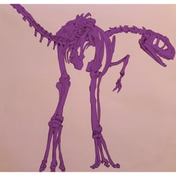Raptor